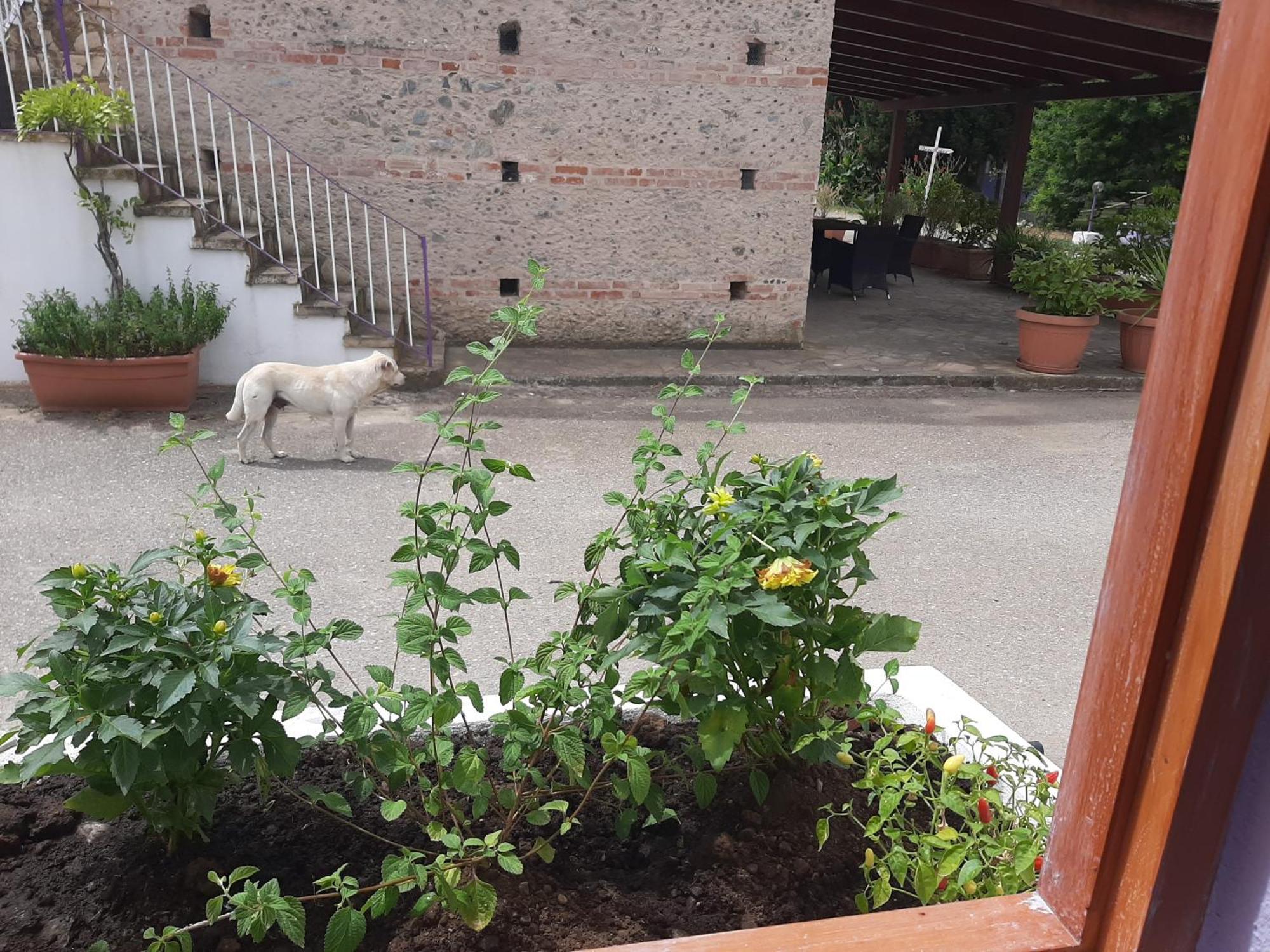 Azienda Agricola Neocastrum Lamezia Terme Dış mekan fotoğraf